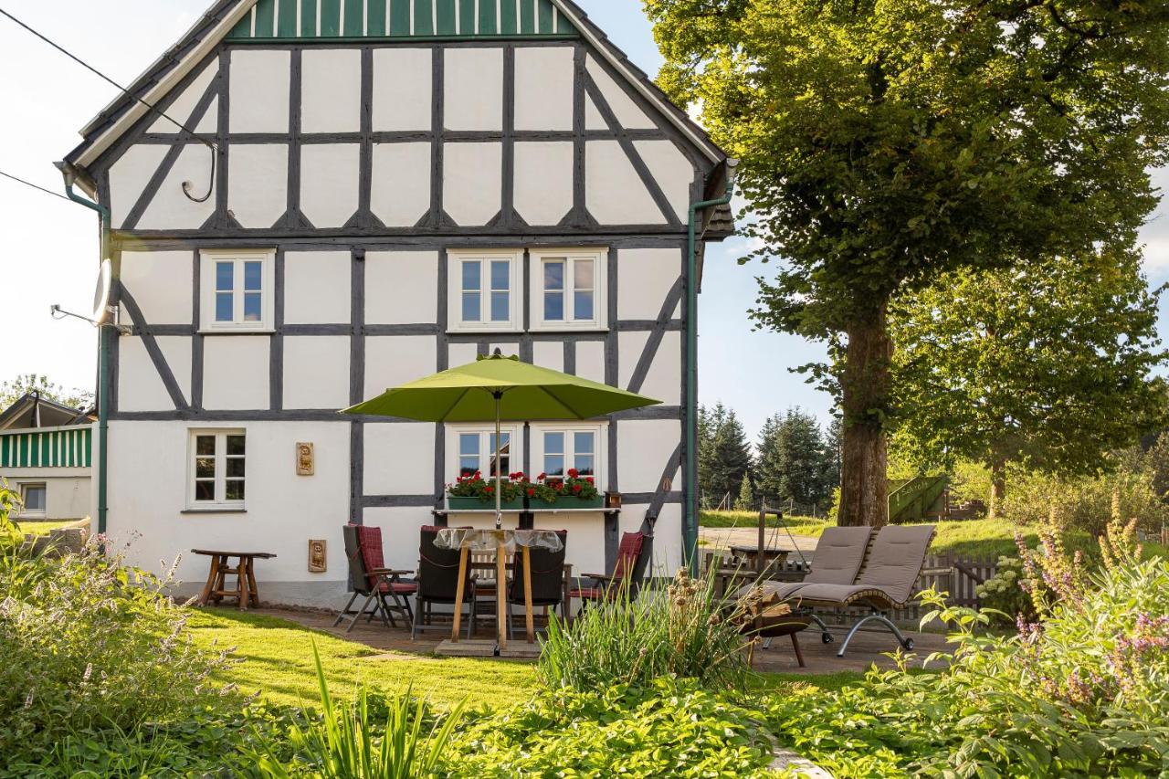 Ortmanns Eulennest Villa Finnentrop Ngoại thất bức ảnh